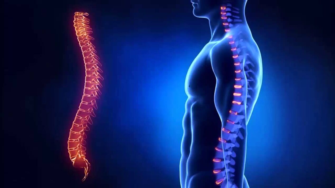 Osteochondrosis is classified according to the part of the spine where the disease develops.